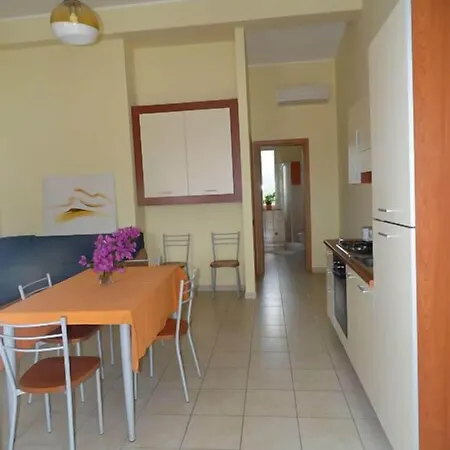 Medimare Club פאטי