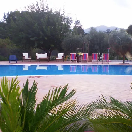 Medimare Club פאטי