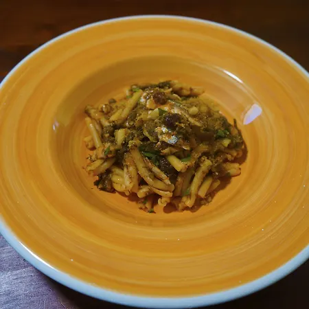 Medimare Club פאטי