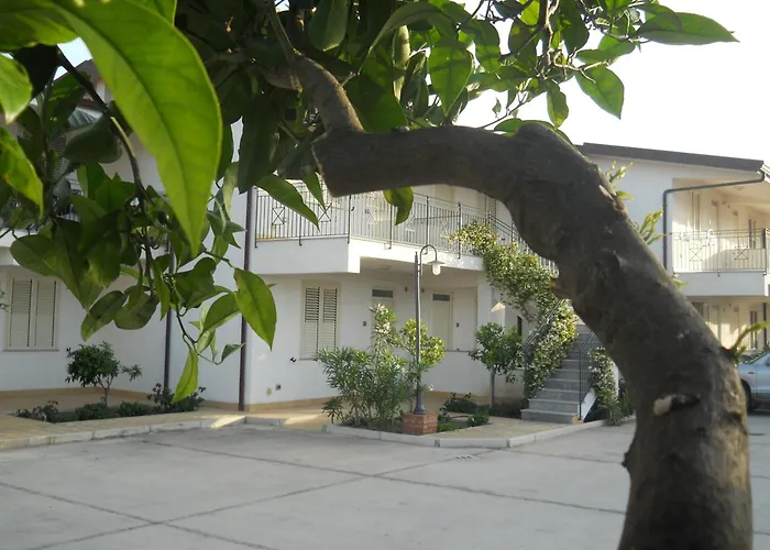 Medimare Club باتي