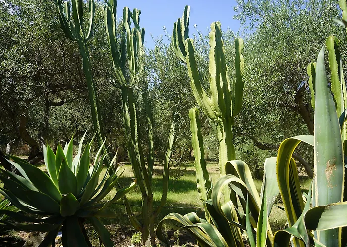 Medimare Club شقة فندقية